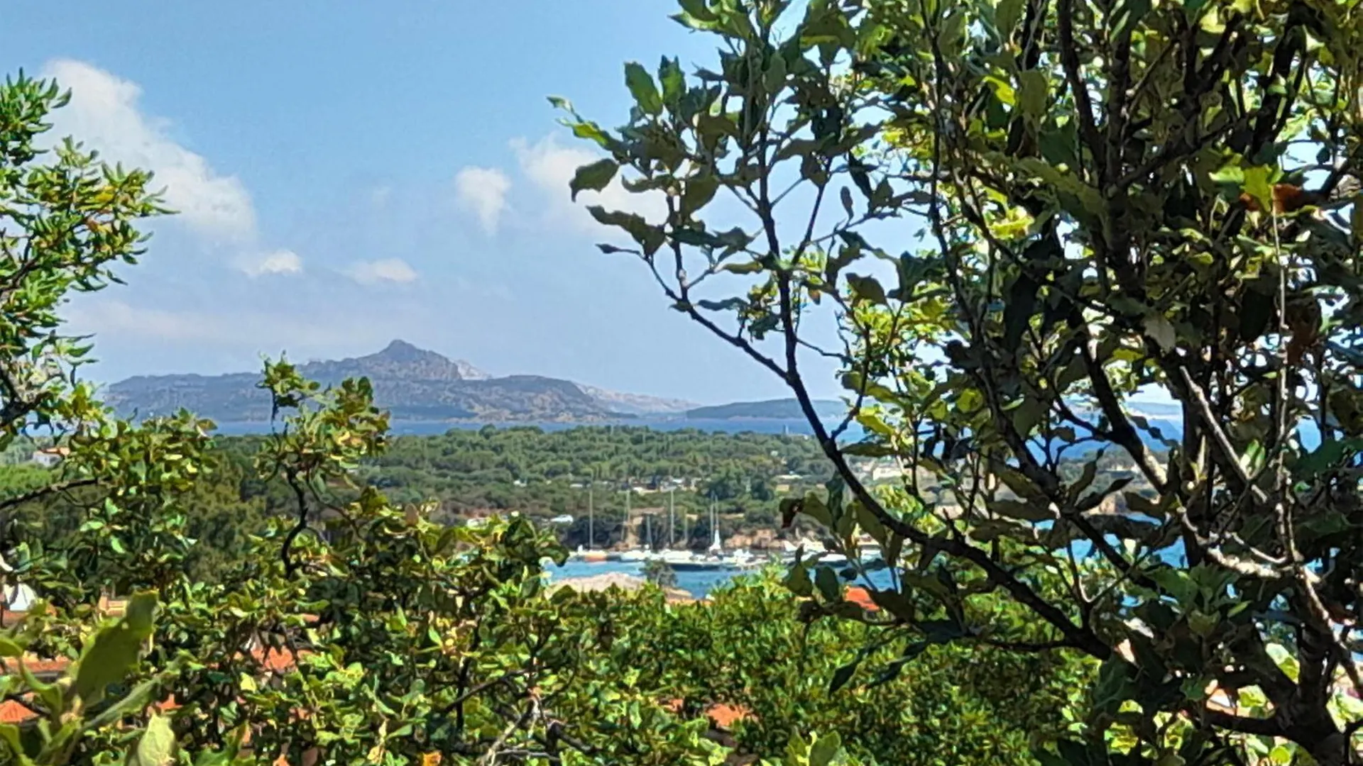 Charming Villa With Sea View Cannigione
